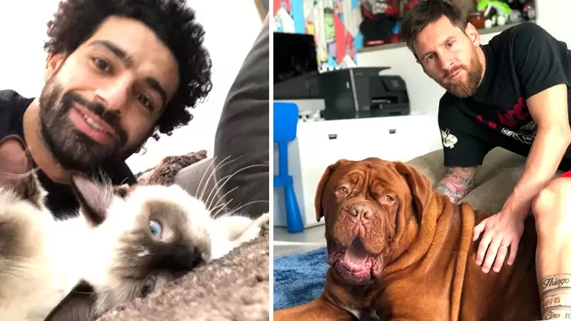 The unseen bond: Footballers and their dogs
