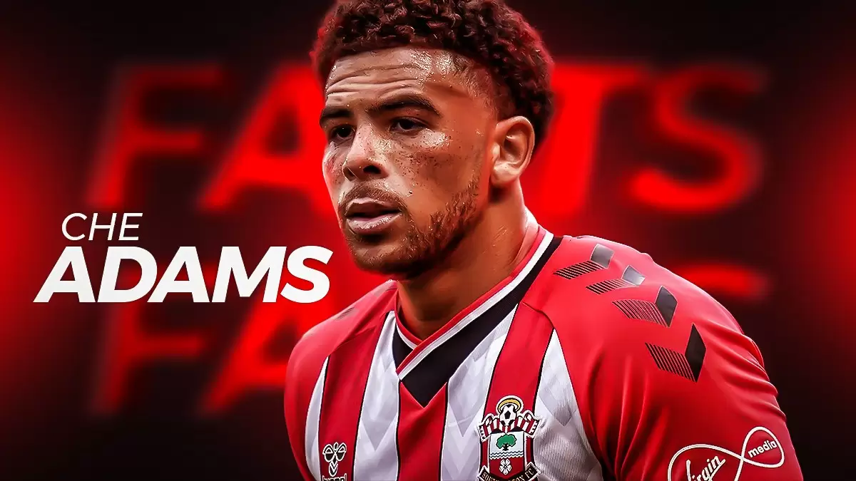 SportMob – Top facts about Che Adams, Southampton Striker